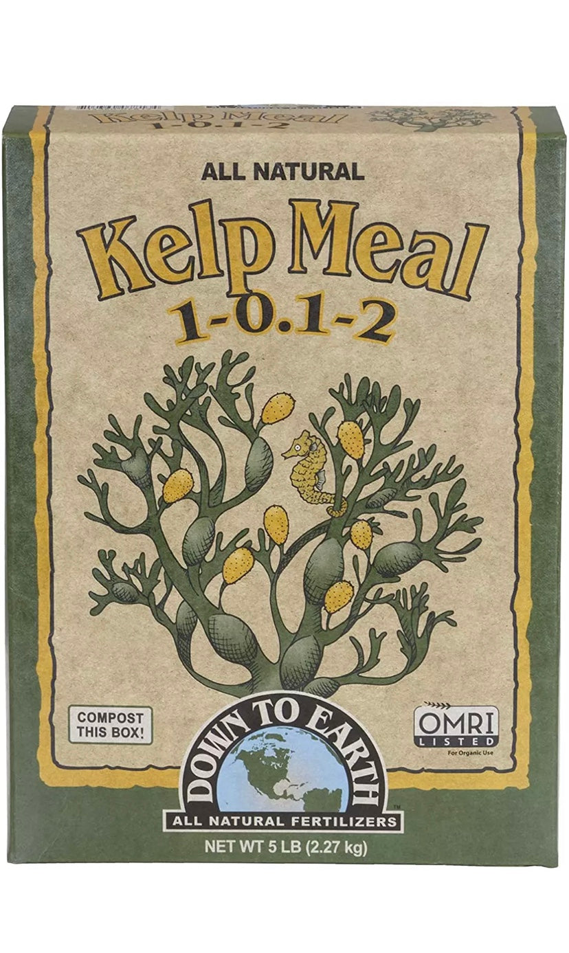 Kelp Meal