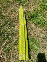 Load image into Gallery viewer, 30” San Pedro cutting flowering tip