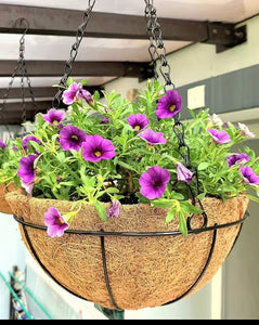 1 pc. Hanging Metal Basket with Coco Liner