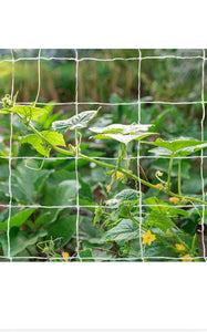 5’ x 15’ Garden Trellis Net